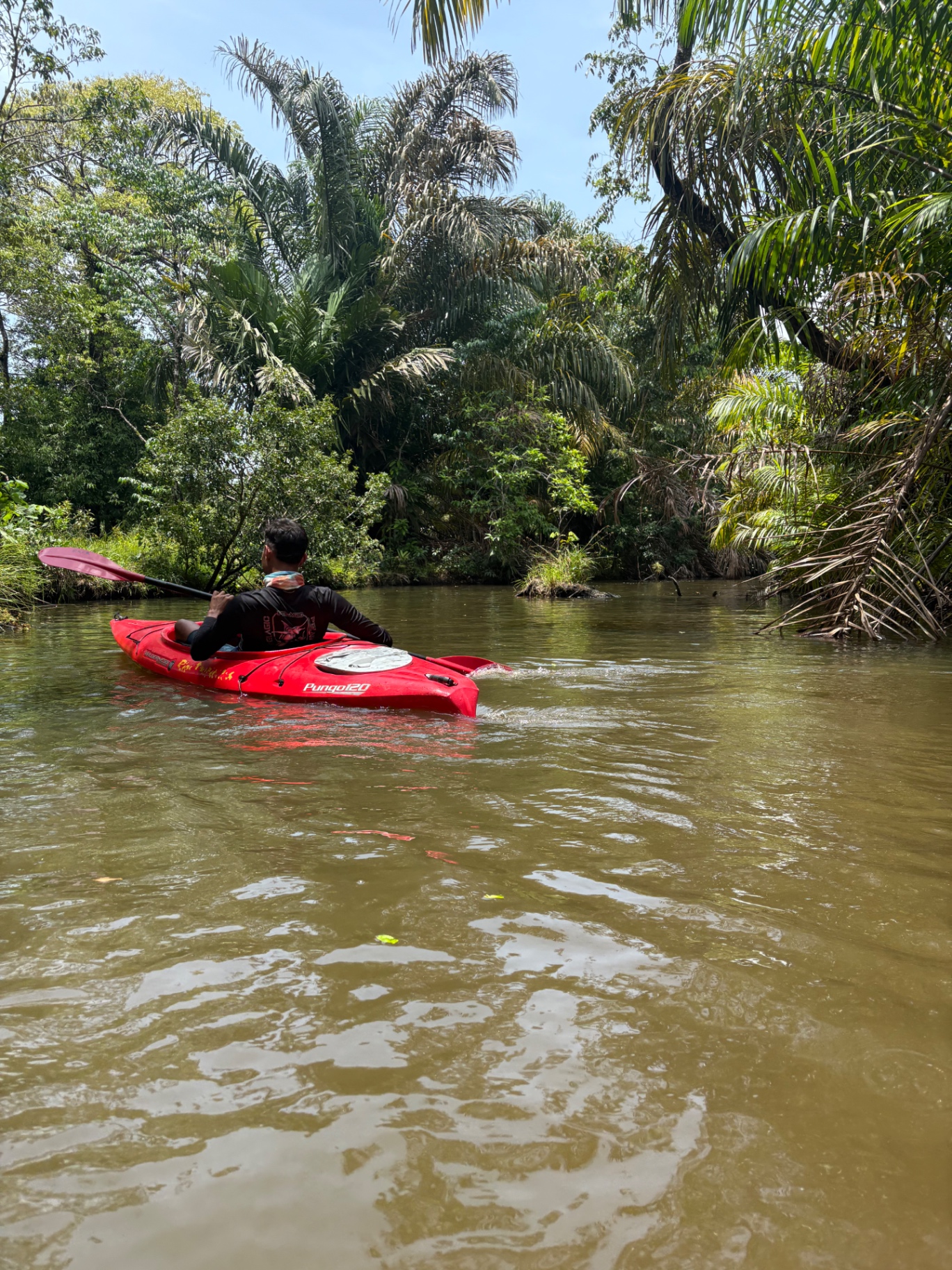 Tour de kayak en Caño Palma
