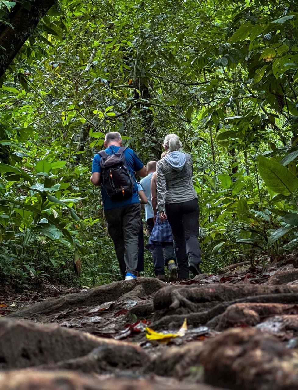 Caminata diurna en la selva