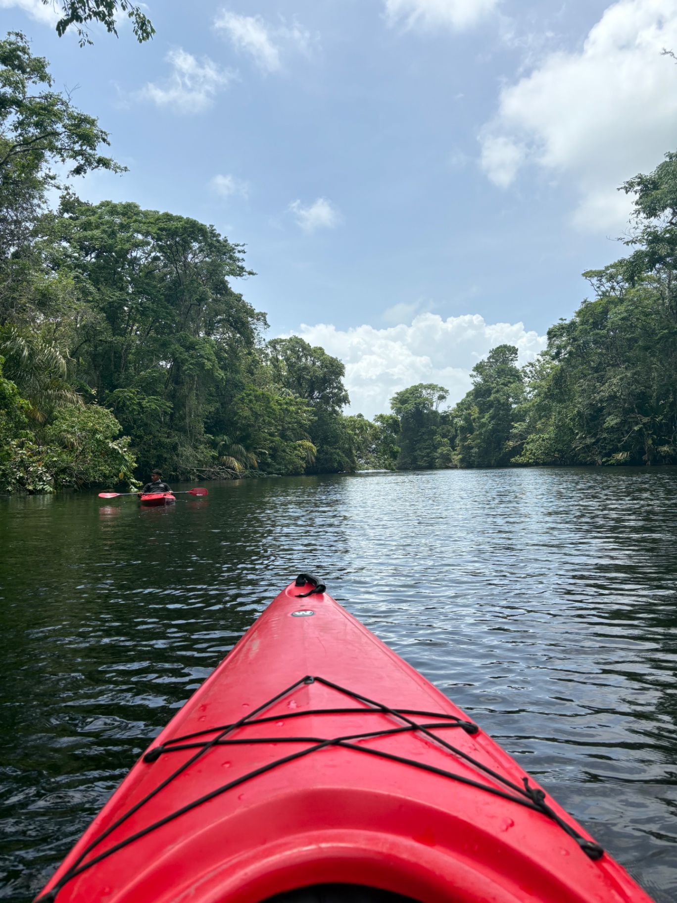 Kayak rojo navegando por canal selvático